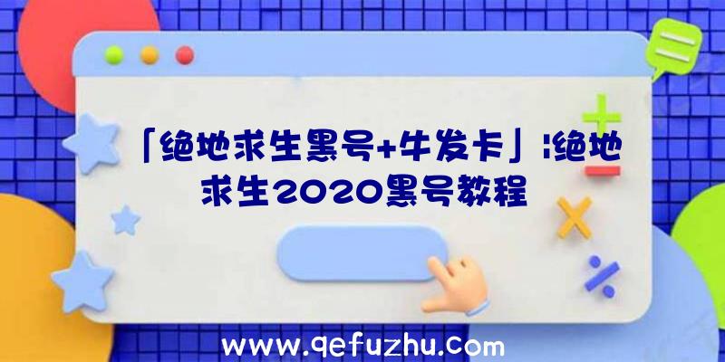 「绝地求生黑号+牛发卡」|绝地求生2020黑号教程